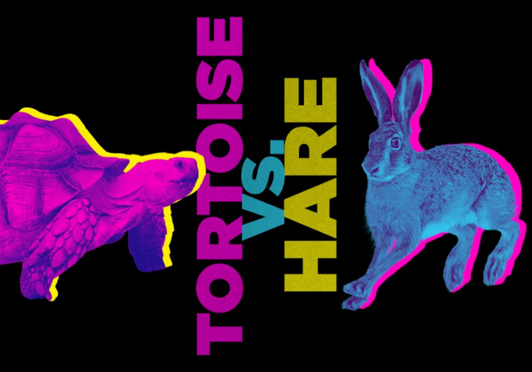 Us Tortoise Vs Hare Search Image Website 2021
