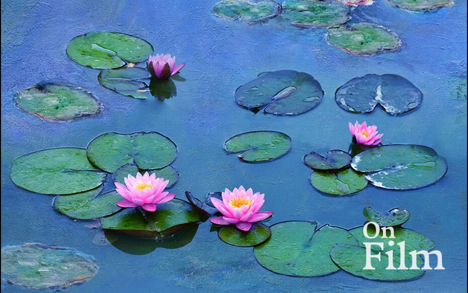 A painting of water lilies by Monet, featuring water lilies resting on the water.