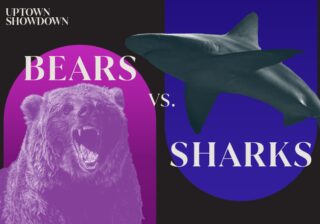 Image for Bears Vs. Sharks