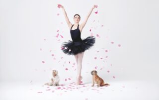 Image for Dance for Paws Presents: Grace to the Rescue