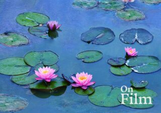 Image for Great Art on Screen: Water Lilies of Monet - The Magic of Water and Light