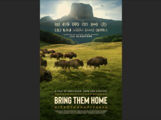 Image for Bring Them Home