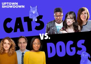 Image for Cats vs. Dogs