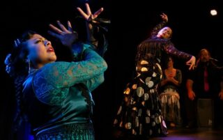 Image for Flamenco Certamen USA Finals