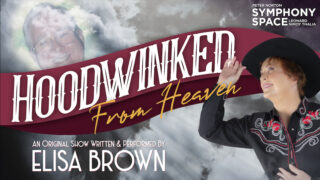 Image for Hoodwinked from Heaven