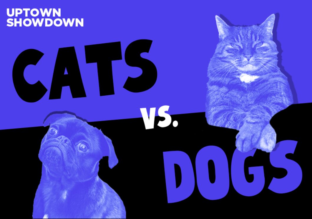 US Cats Vs Dogs Search Image 22
