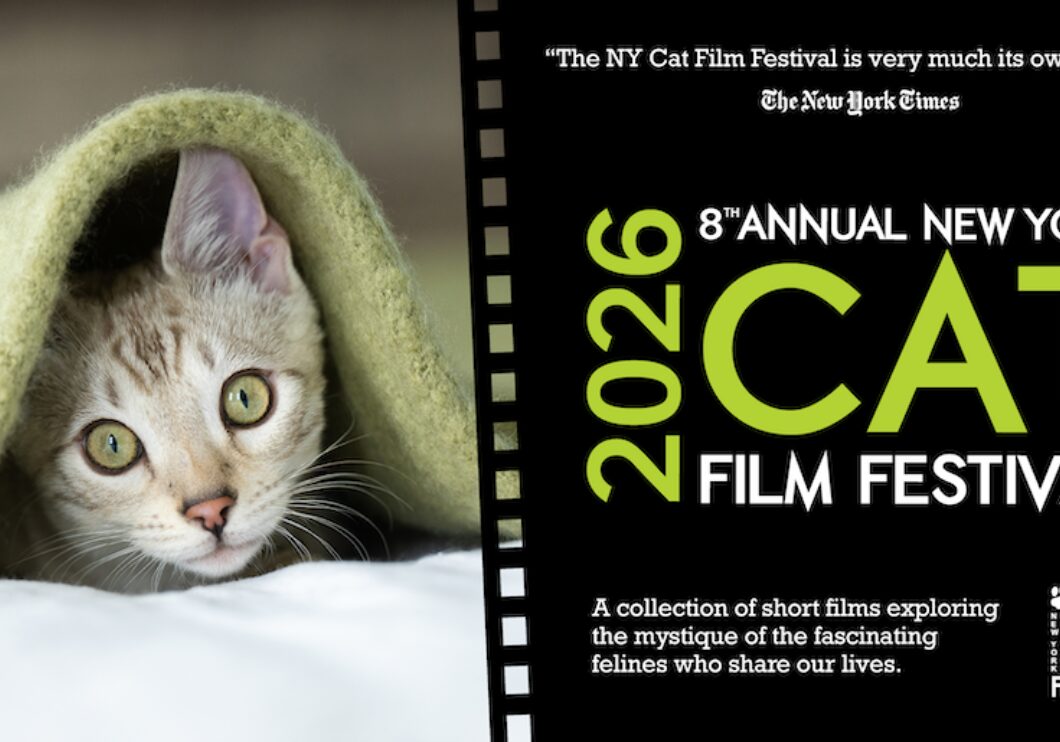 A gray kitten peeks from under a green blanket on the left side of the image. The festival's title appears in lime green text on a black film roll on the right side of the image.