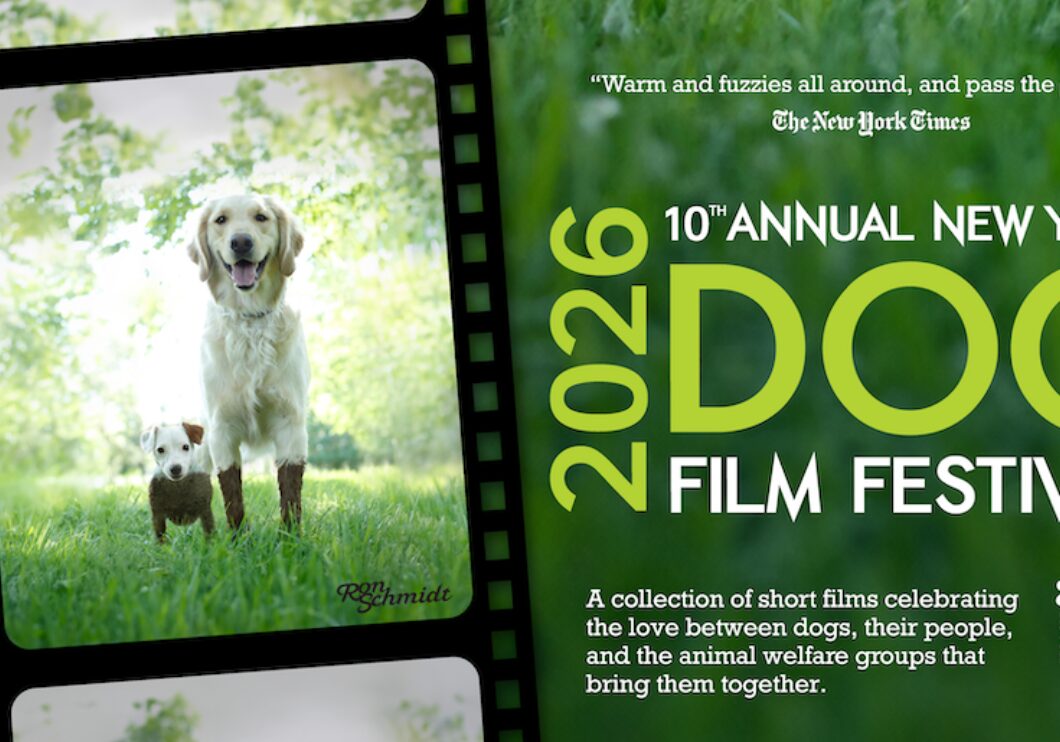 A yellow lab and small dog appear framed in a film reel, covered in mud. The festival's title appears in lime green text over a background of grass on the right side of the image.