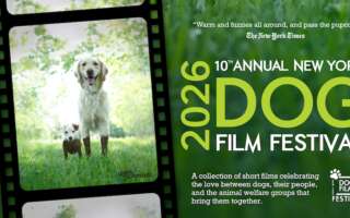 A yellow lab and small dog appear framed in a film reel, covered in mud. The festival's title appears in lime green text over a background of grass on the right side of the image.