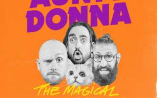 Image for Aunty Donna - The Magical Dead Cat Tour